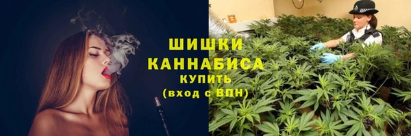 сатива Ельня