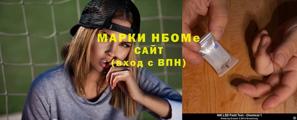 гашик Елабуга