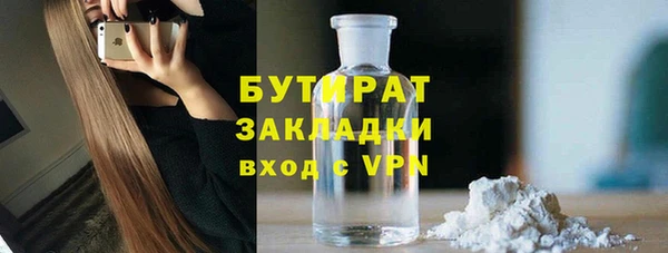 сатива Ельня