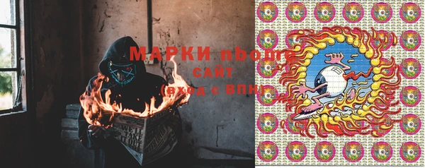 сатива Ельня
