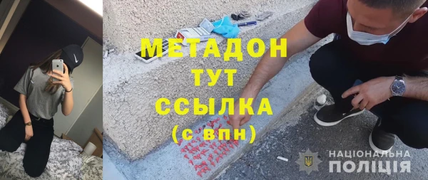 сатива Ельня