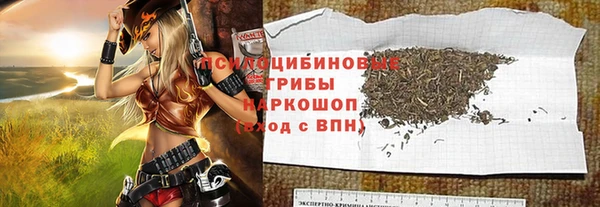 сатива Ельня