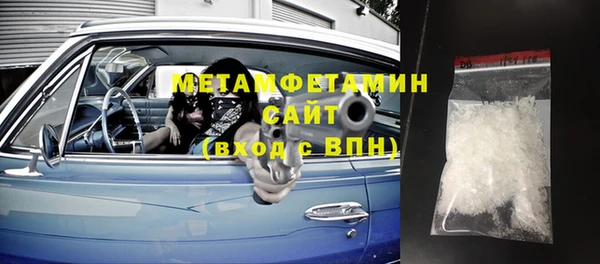 сатива Ельня