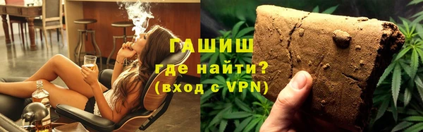 сатива Ельня