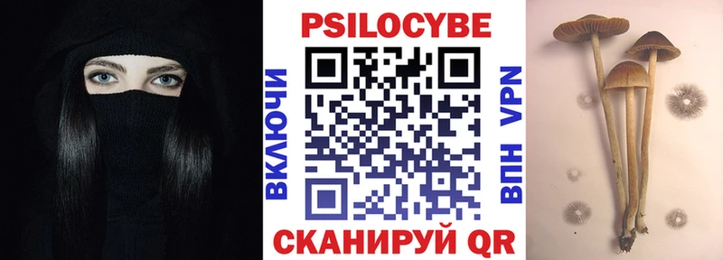 Купить закладки  Рошаль  Галлюциногенные грибы Psilocybe 